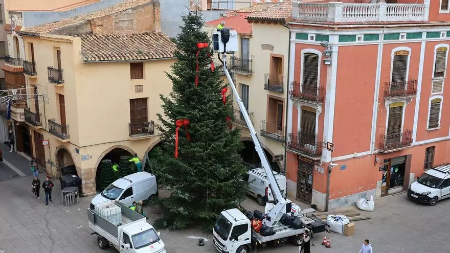 Vídeo: Vila-real planta su árbol de Navidad más sostenible y de 12 metros de altura
