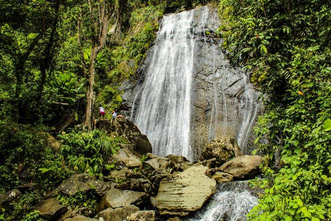 Bosque nacional El Yunque.