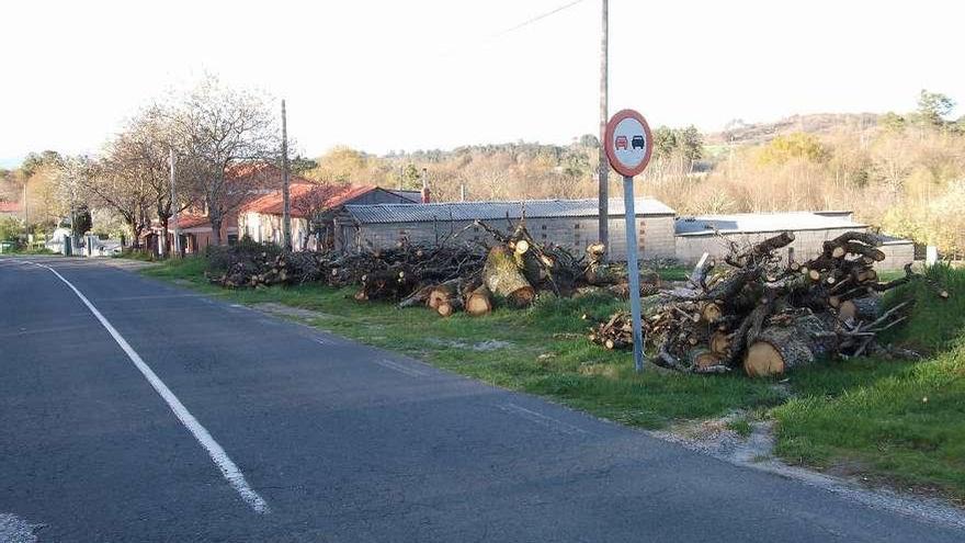 Carballos amontoados en Lodeirón ao lado da estrada local Vilatuxe- A Saborida.  // Antonio Presas