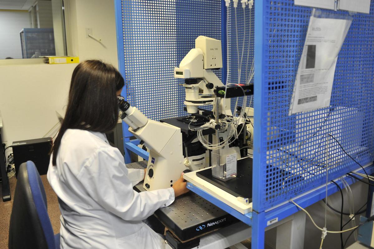 La innovación es clave en el sector sanitario.
