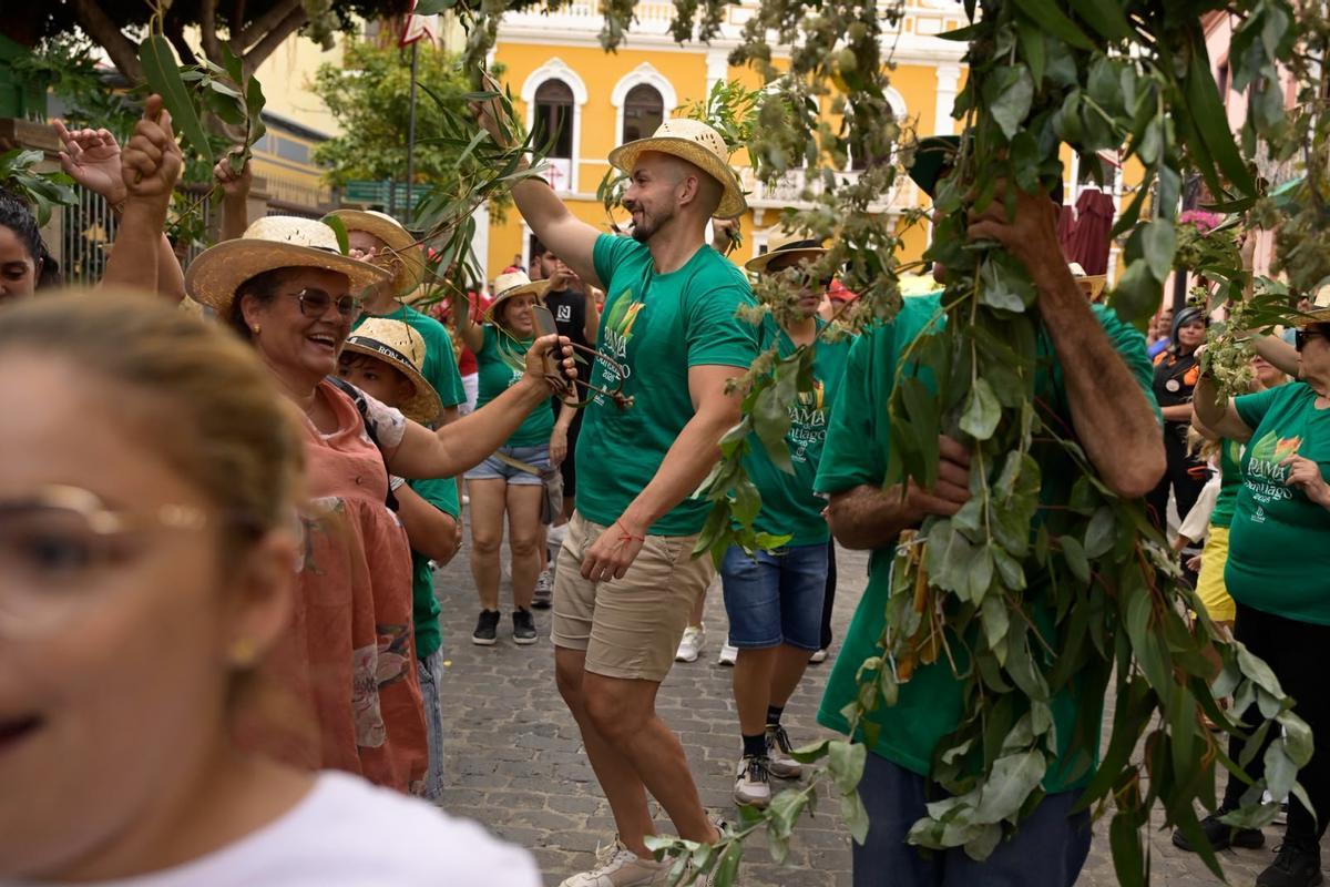 La Rama de Gáldar, en imágenes La Rama de Gáldar, en imágenes