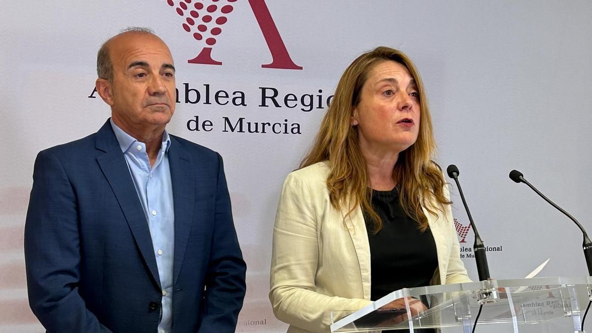 Los diputados del PSOE Pedro López y Virginia Lopo.