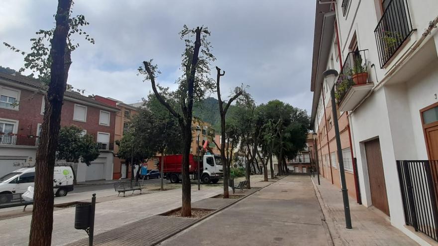 Xàtiva sanea los árboles de la Plaça de la Almàssera