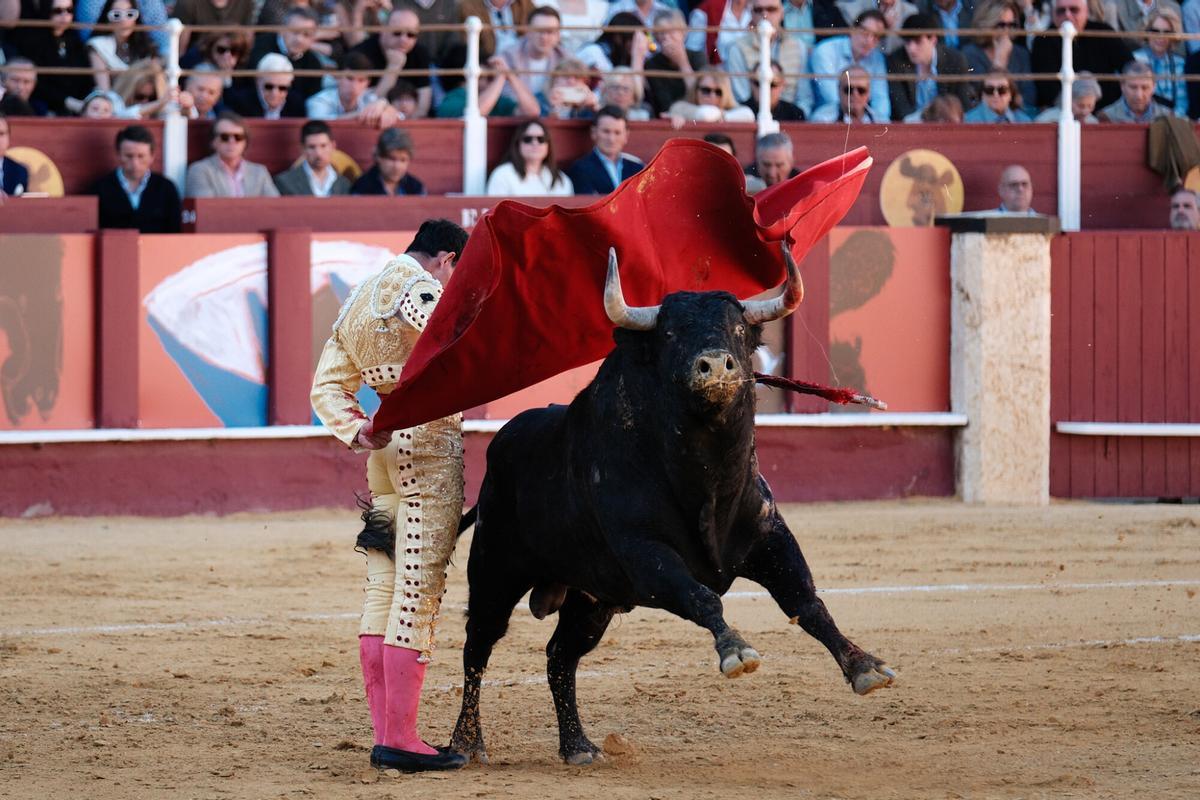 Corrida Picassiana este sabado 4 de abril en la plaza de Toros de la Malagueta