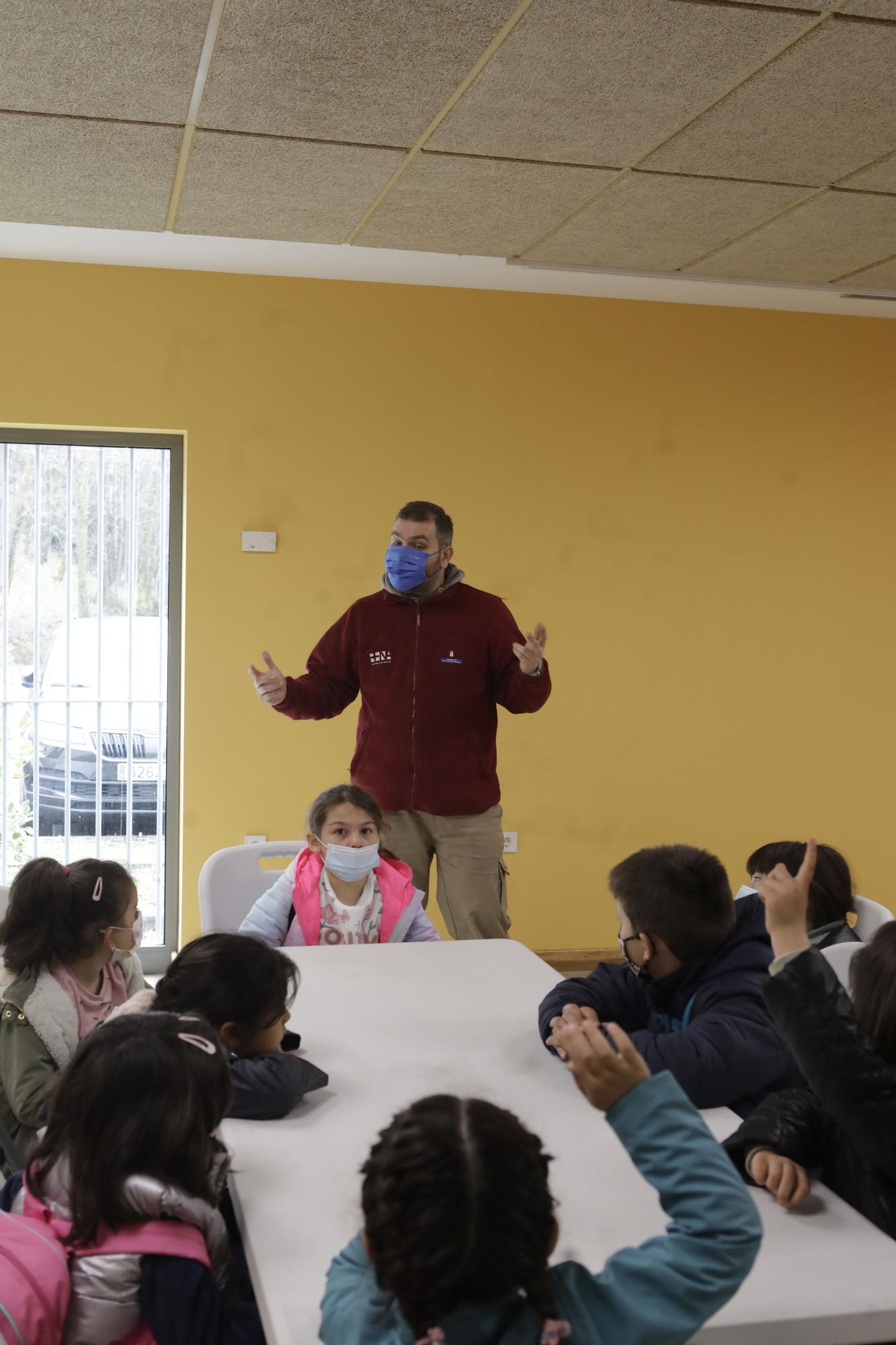 Visitas escolares al hospital de recuperación de fauna silvestre de Ladines, en Sobrescobio