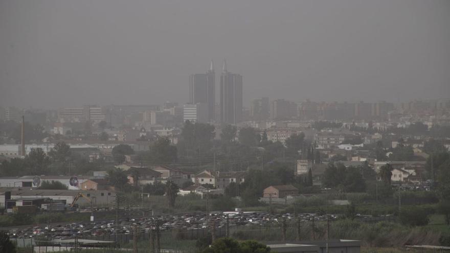UPCT y Ayuntamiento de Murcia se unen para analizar el nivel de polen en el aire