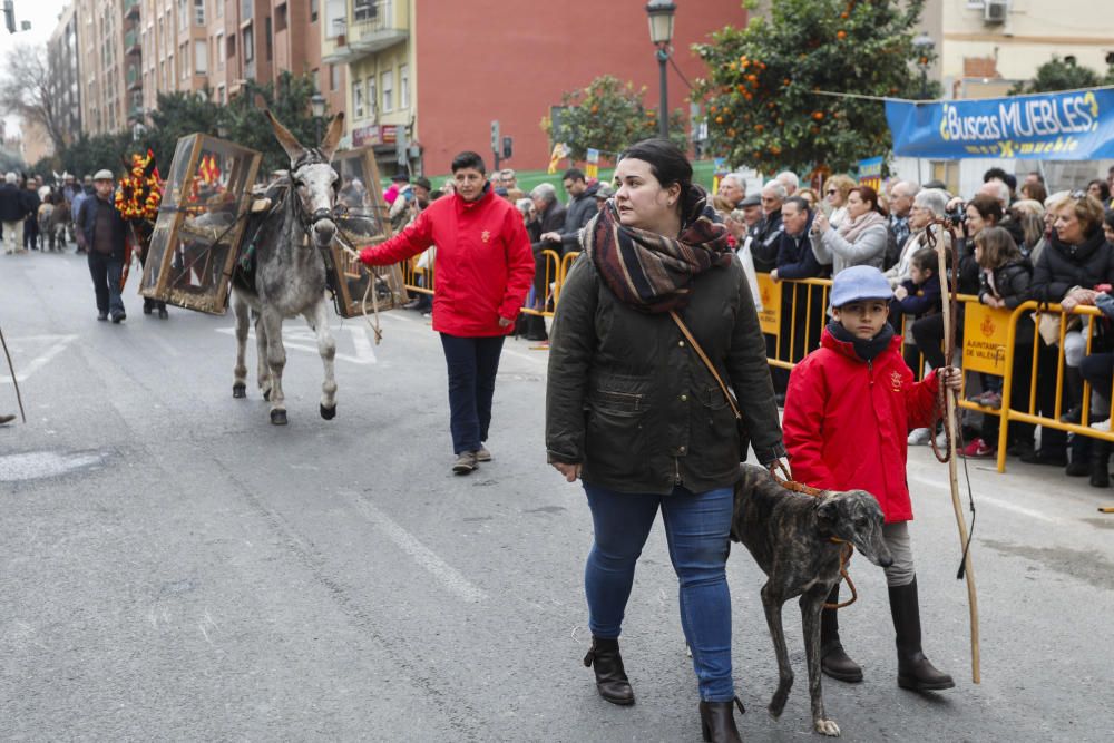 Festividad de Sant Antoni en València