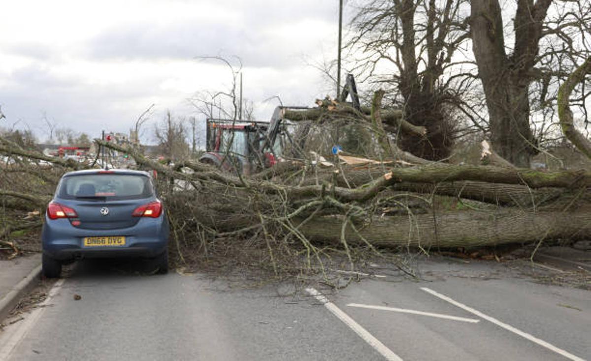 Cómo reclamar al seguro por los daños en los vehículos causados por el viento