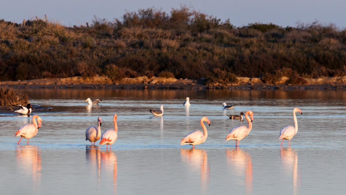 Salinas de San Pedro