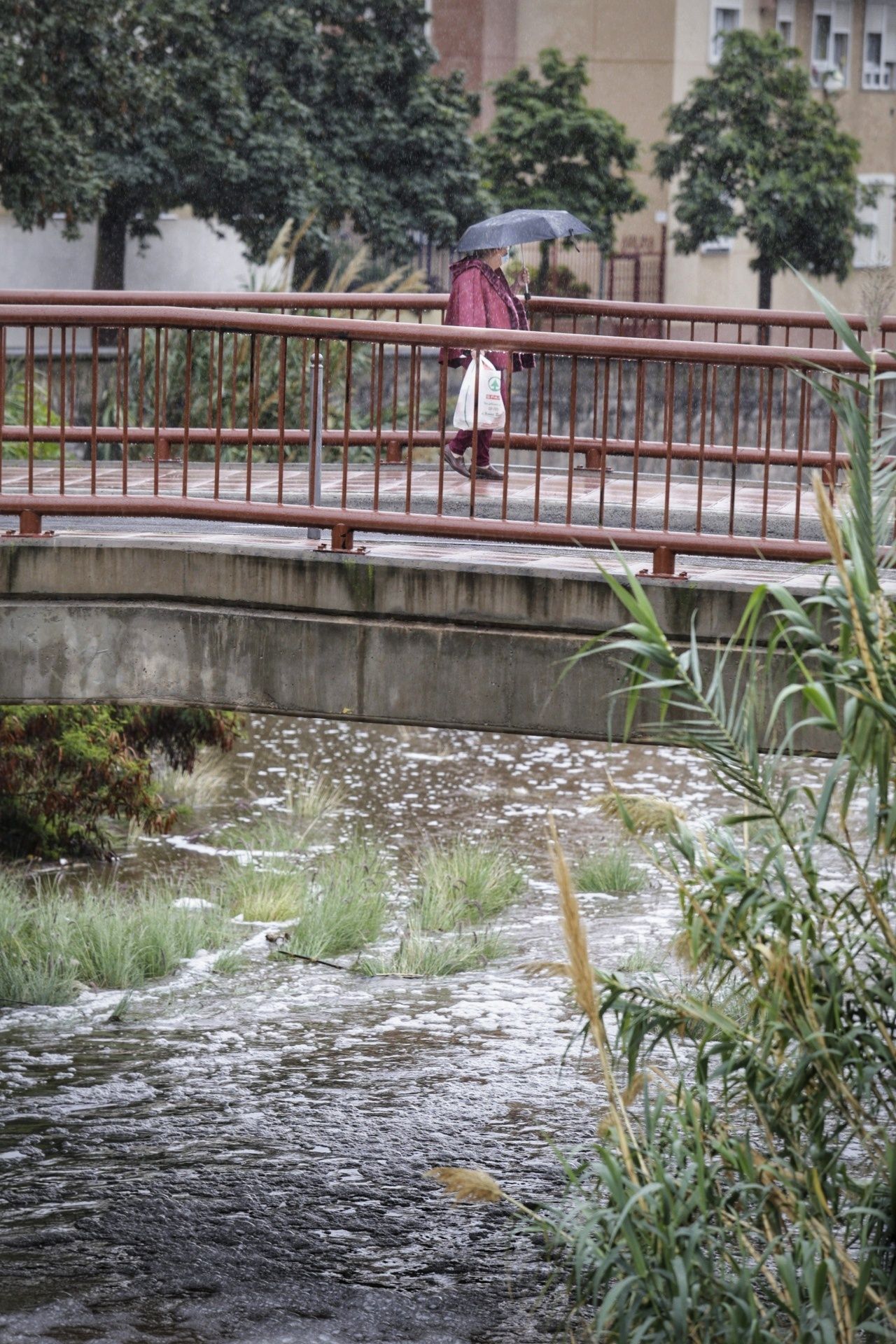 Viernes de lluvia, viento y nieve en Tenerife