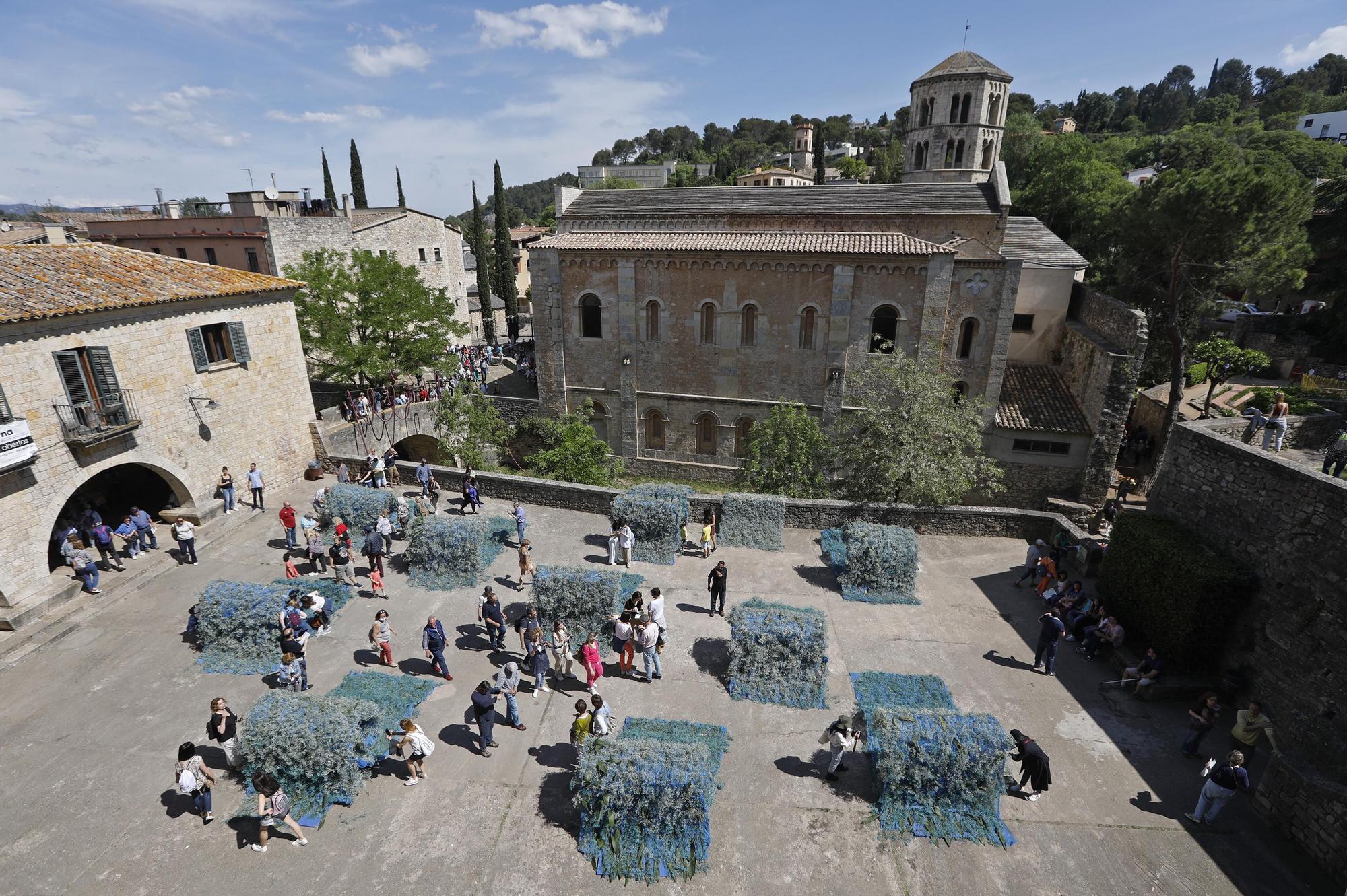 Girona es torna a omplir de color i riuades de gent en el retorn a la normalitat de Temps de Flors