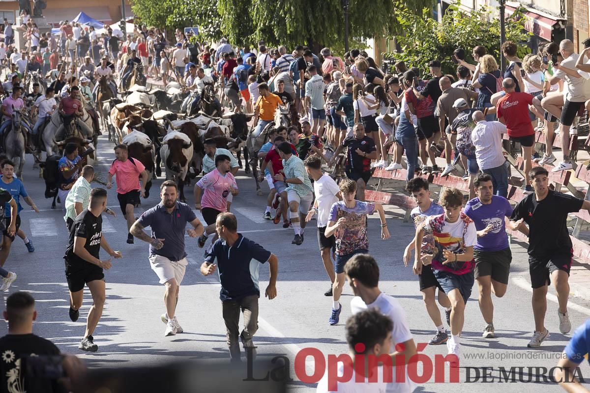 Séptimo encierro de las Fiestas de Moratalla