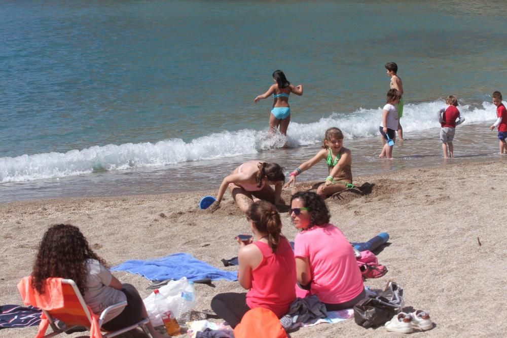 Día de la Mona en Cartagena