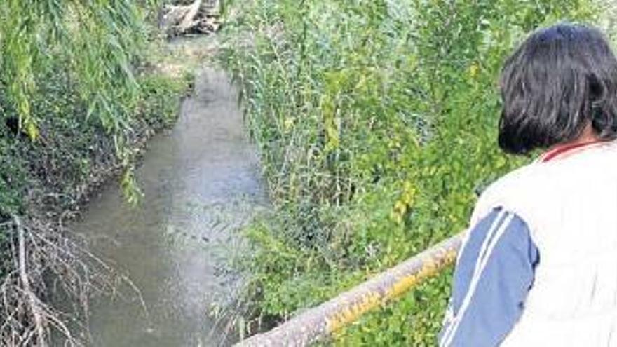 Los vecinos piden una actuación de urgencia para el río Zagrilla