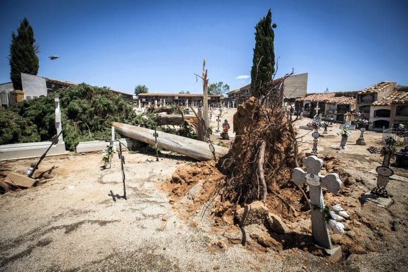 Efectos de la tormenta en Longares