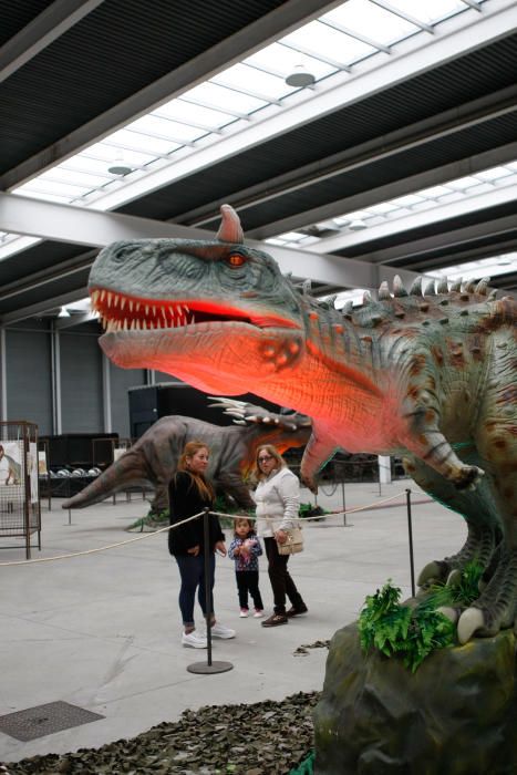 Dinoexpo en Ifeza