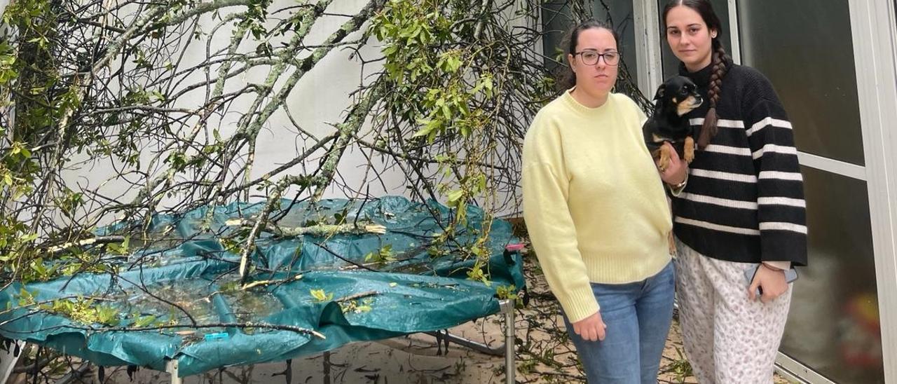 Dos jóvenes ante las ramas de un árbol caído ayer sobre su terraza, en Vista Alegre.