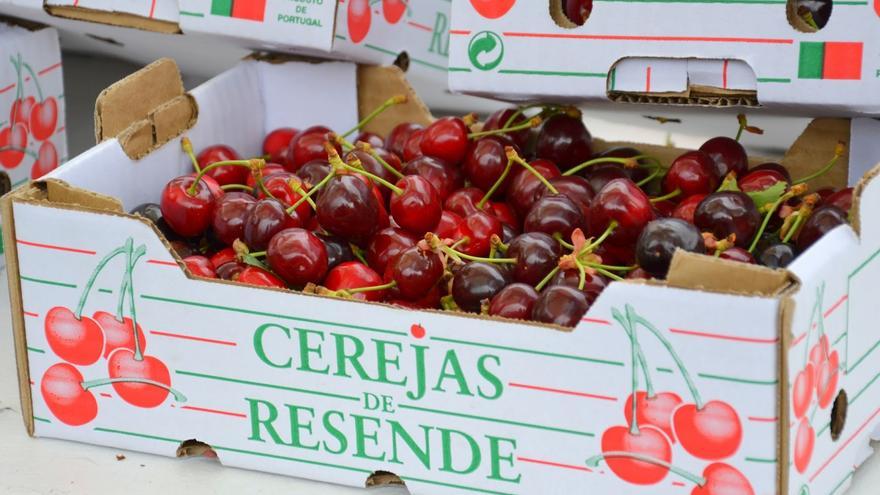 La Fiesta de la Cereza de Resende celebra a la reina de las frutas con dos fines de semana de actividades
