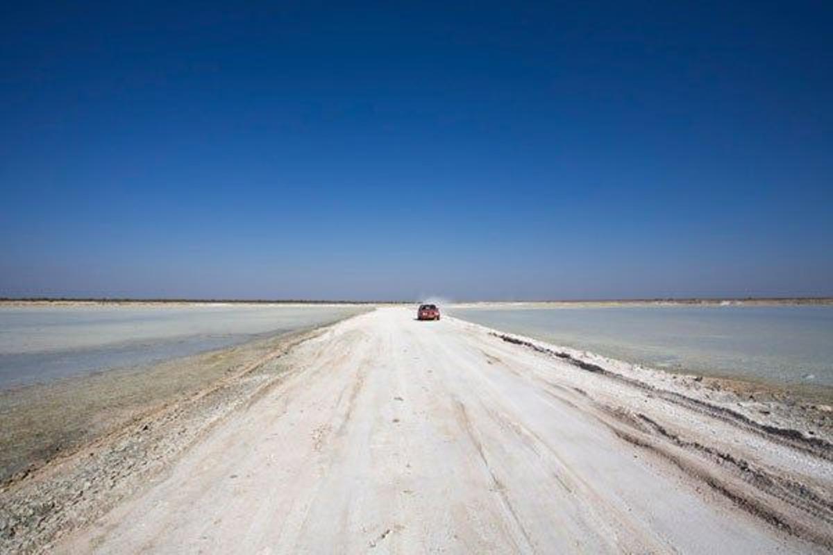 Un vehículo recorre la planicie de Etosha.