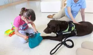 El Materno estudiará el efecto de las terapias con perros en los trastornos del desarrollo