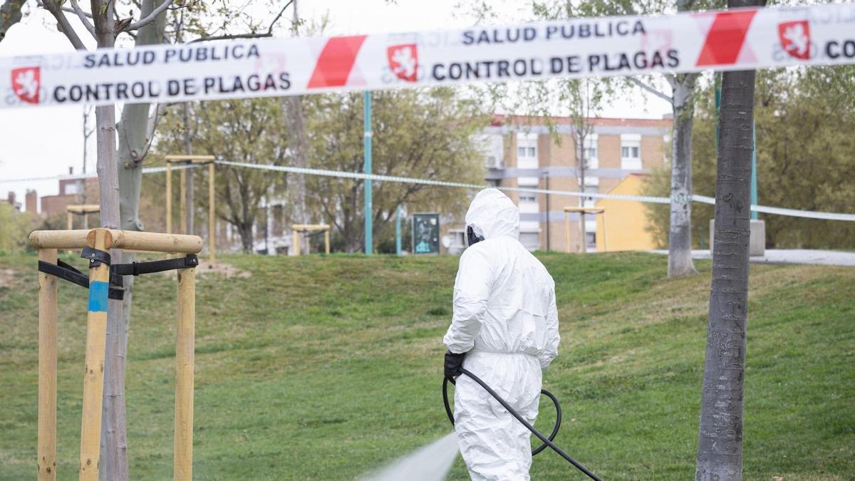 Un trabajador municipal realiza un tratamiento contra la garrapata en el parque Bruil de Zaragoza.