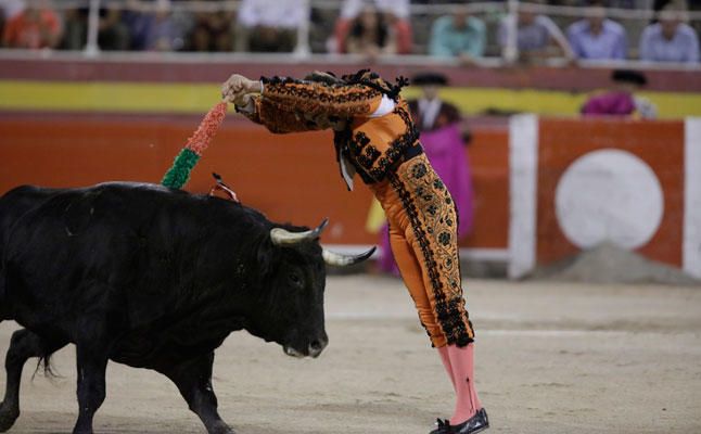 Toros en Palma