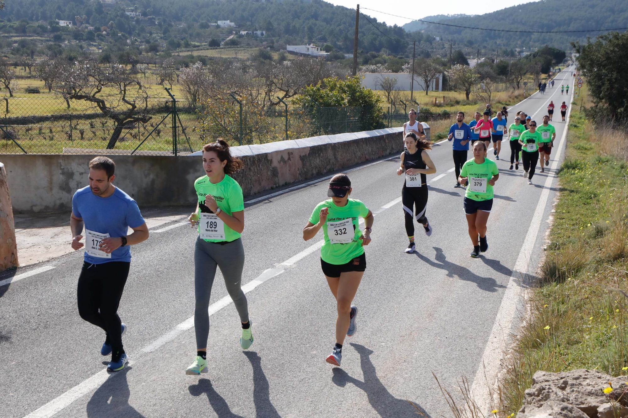 Galería de imágenes de los 250 atletas participantes en la Cursa de la Flor de l’Ametller en Ibiza