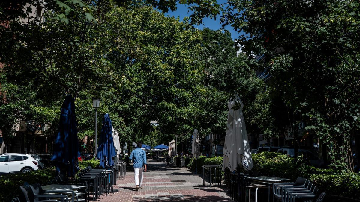 Cáceres tendrá que licitar de nuevo la reforma de Virgen de la Montaña tras no formalizarse el contrato
