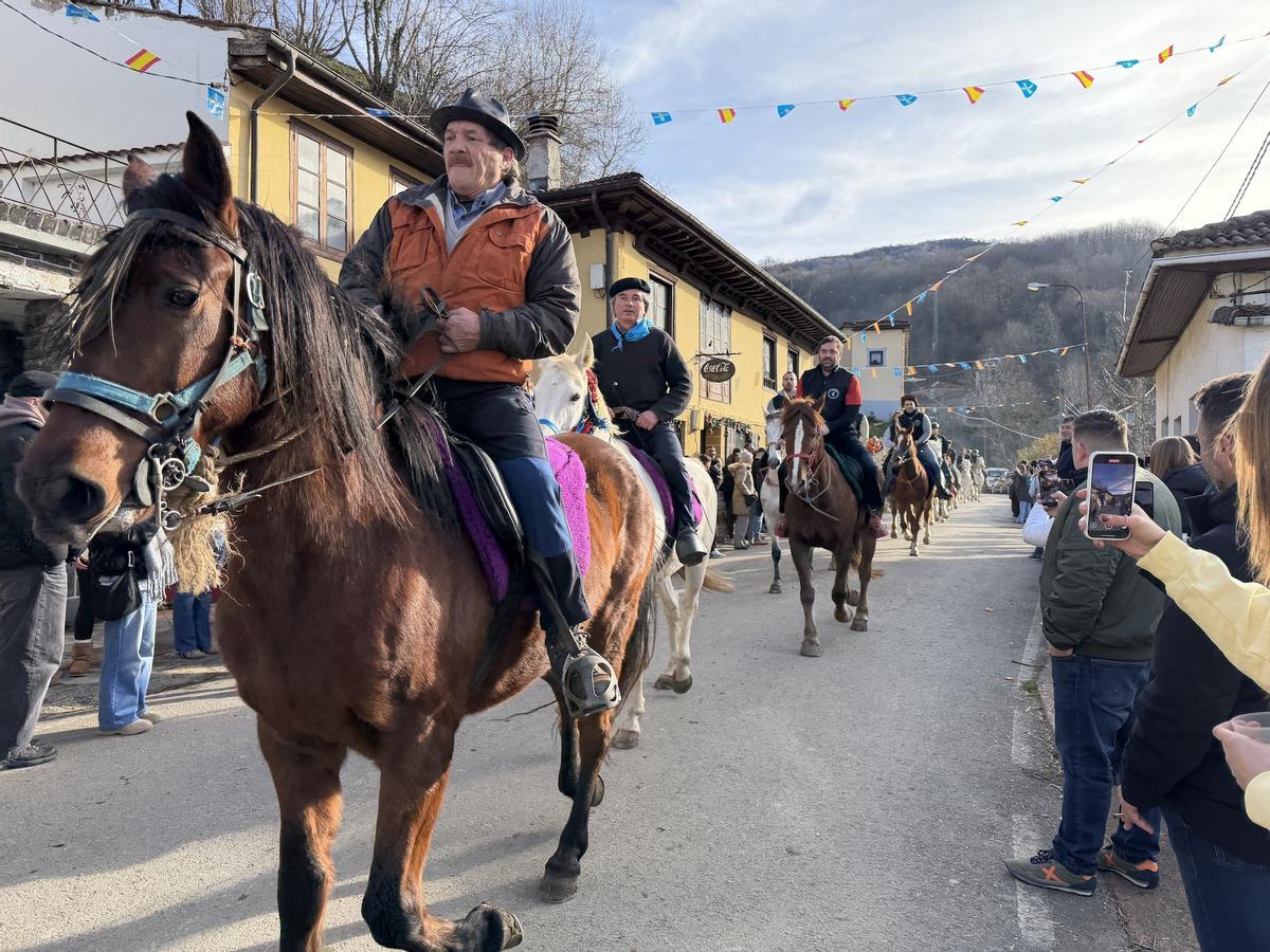 El guirria reaparece por el Año nuevo en Beleño