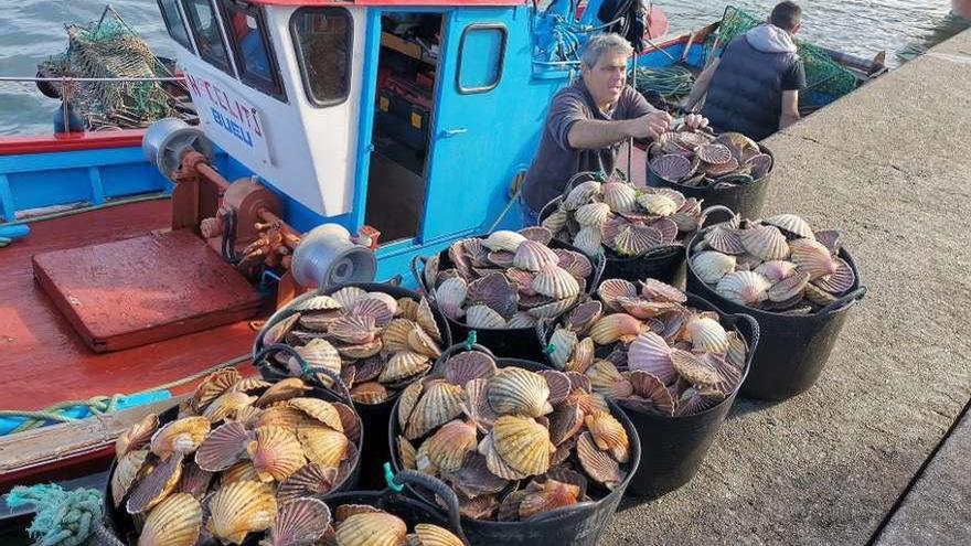 El &quot;Nuevo Celita&quot; descarga ayer las capturas al llegar al puerto de Bueu. // Santos Álvarez