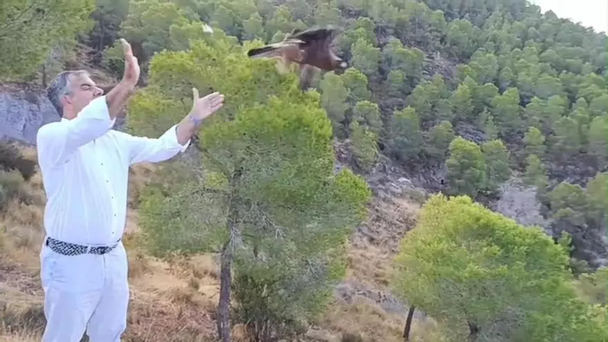 Liberación de un ejemplar de águila calzada tras su tratamiento en el Centro de Recuperación de Fauna Silvestre El Valle