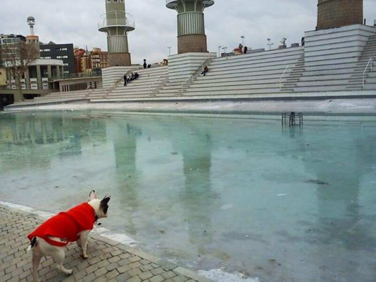 Parc de l’Espanya Industrial (Barcelona). FOTO: Nadia Vila Onrubia.
