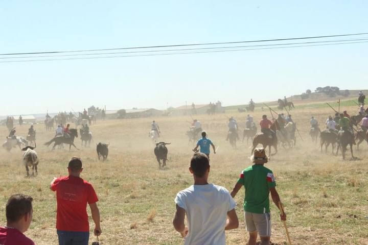 Espantes de Guarrate