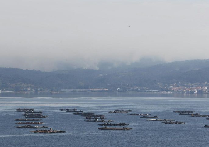 Las llamas en Ponte Caldelas amenazan la ría de Vigo