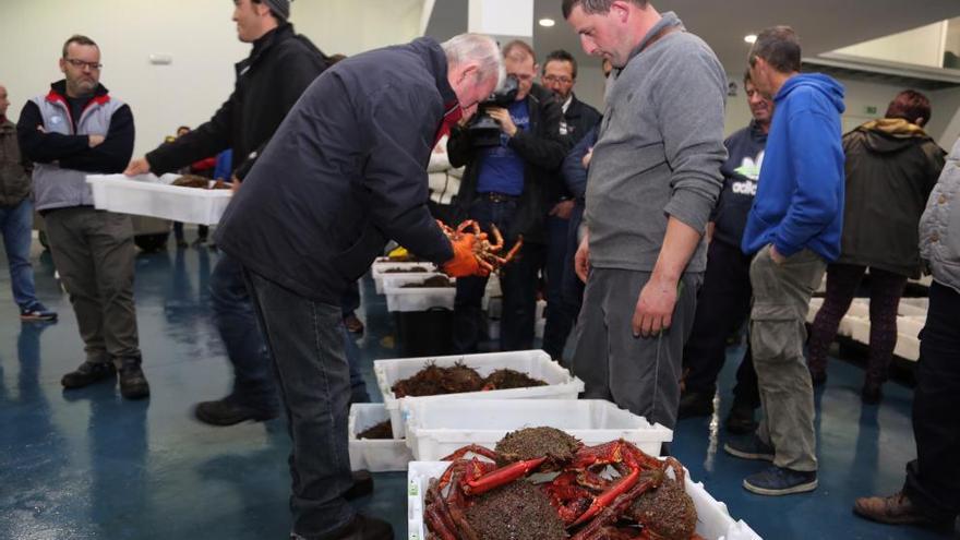 PescadeRías, un sello para identificar los productos del mar de calidad