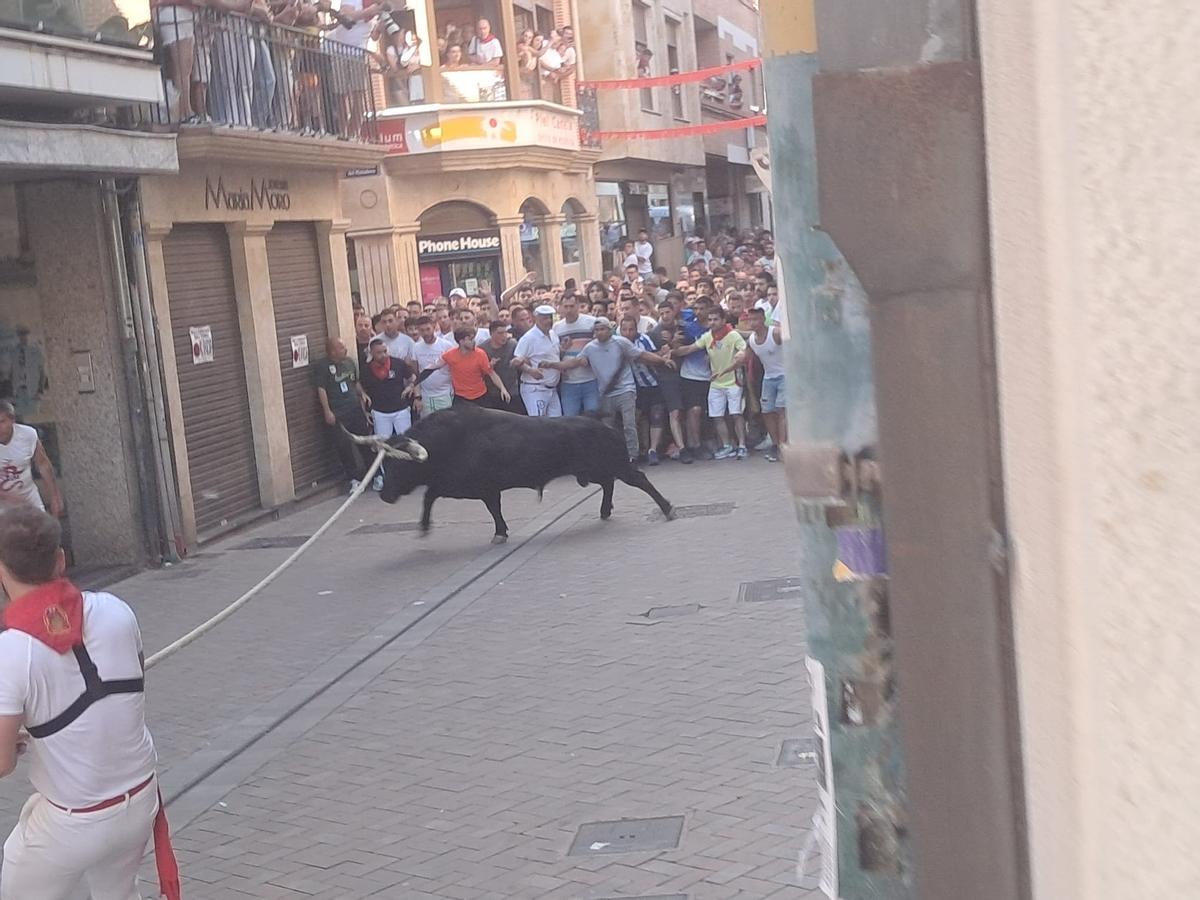 Así fue el recorrido del Toro Enmaromado Glorificado, por las calles de Benavente Así fue el recorrido del Toro Enmaromado Glorificado, por las calles de Benavente