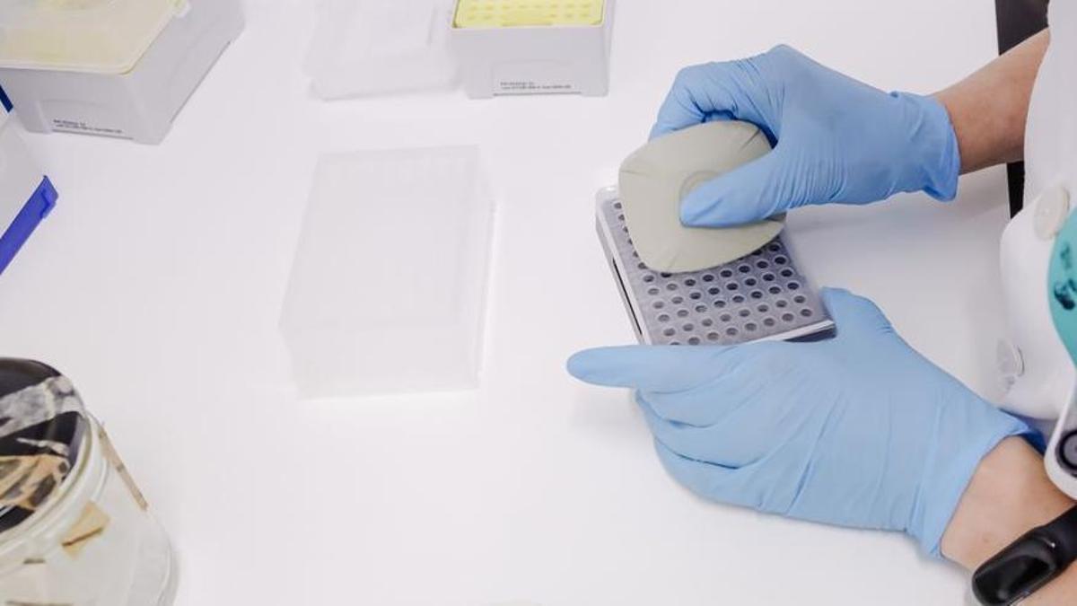 Análisis de mpox en un laboratorio