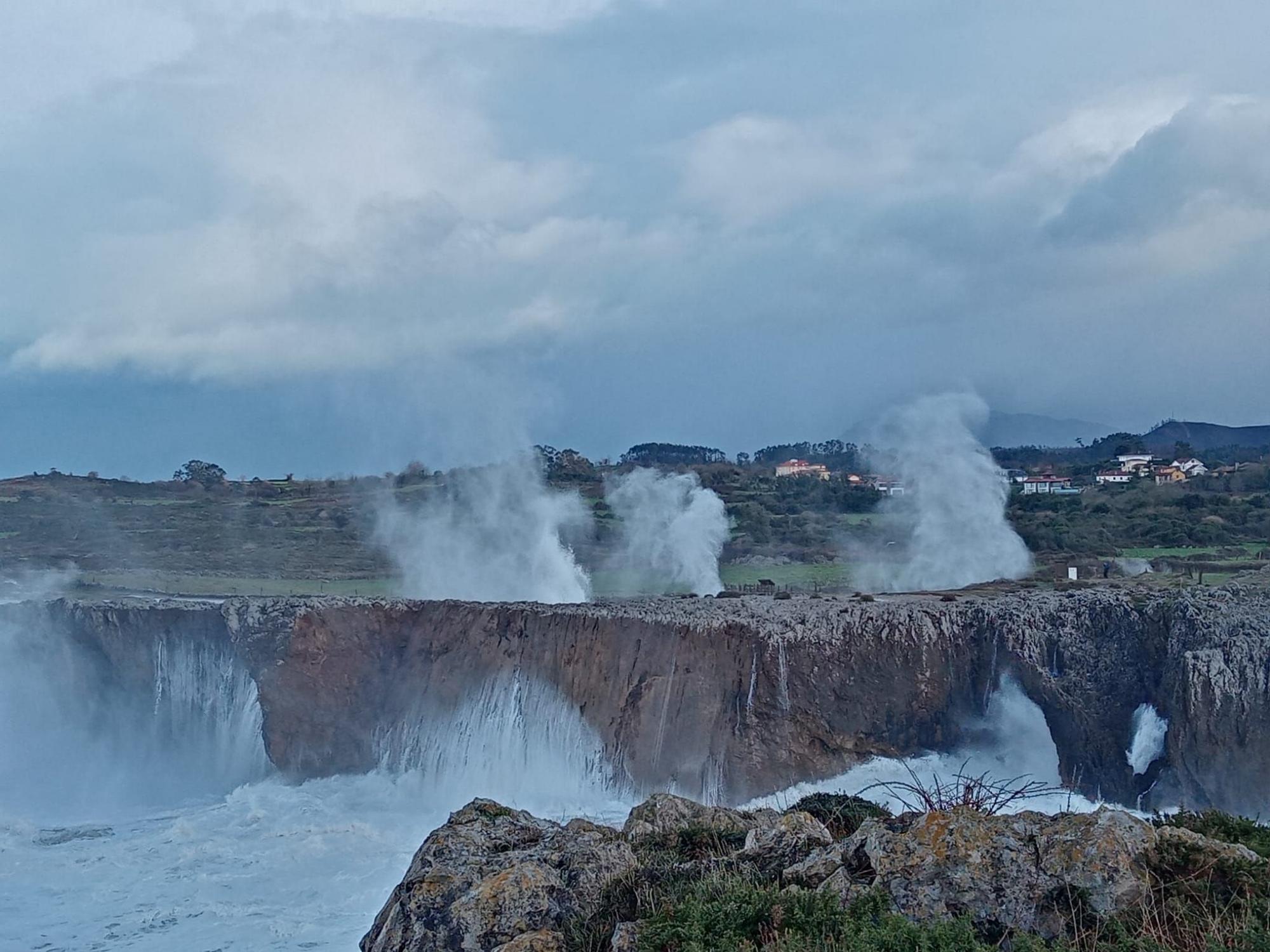 Las Impresionantes Im genes De Los Bufones De Pr a Tras El Paso De Bella las-impresionantes-im-genes-de-los-bufones-de-pr-a-tras-el-paso-de-bella