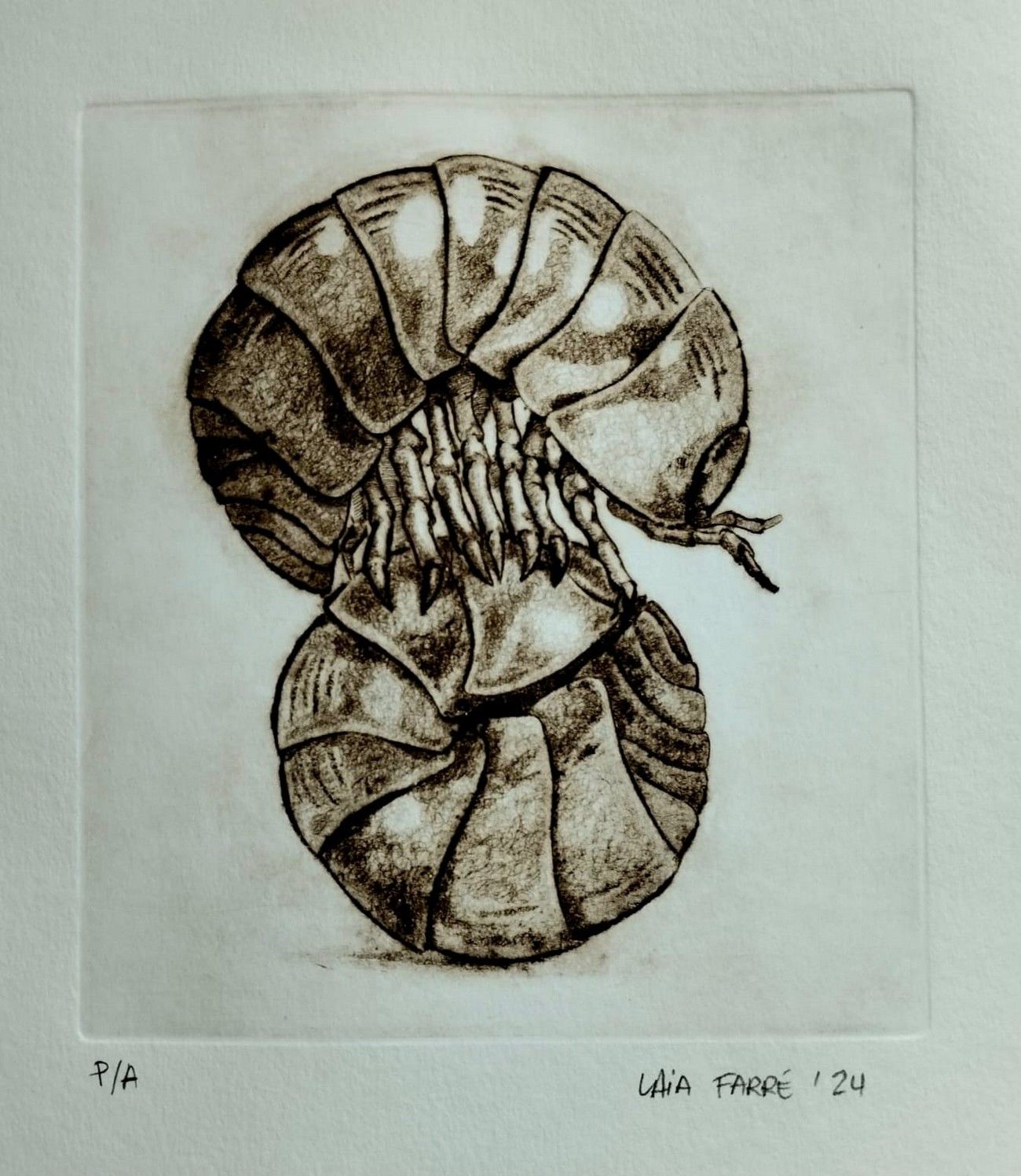 Los talleres de Grabado y de Escultura abren el curso 2024-25 en la Escuela Luján Pérez