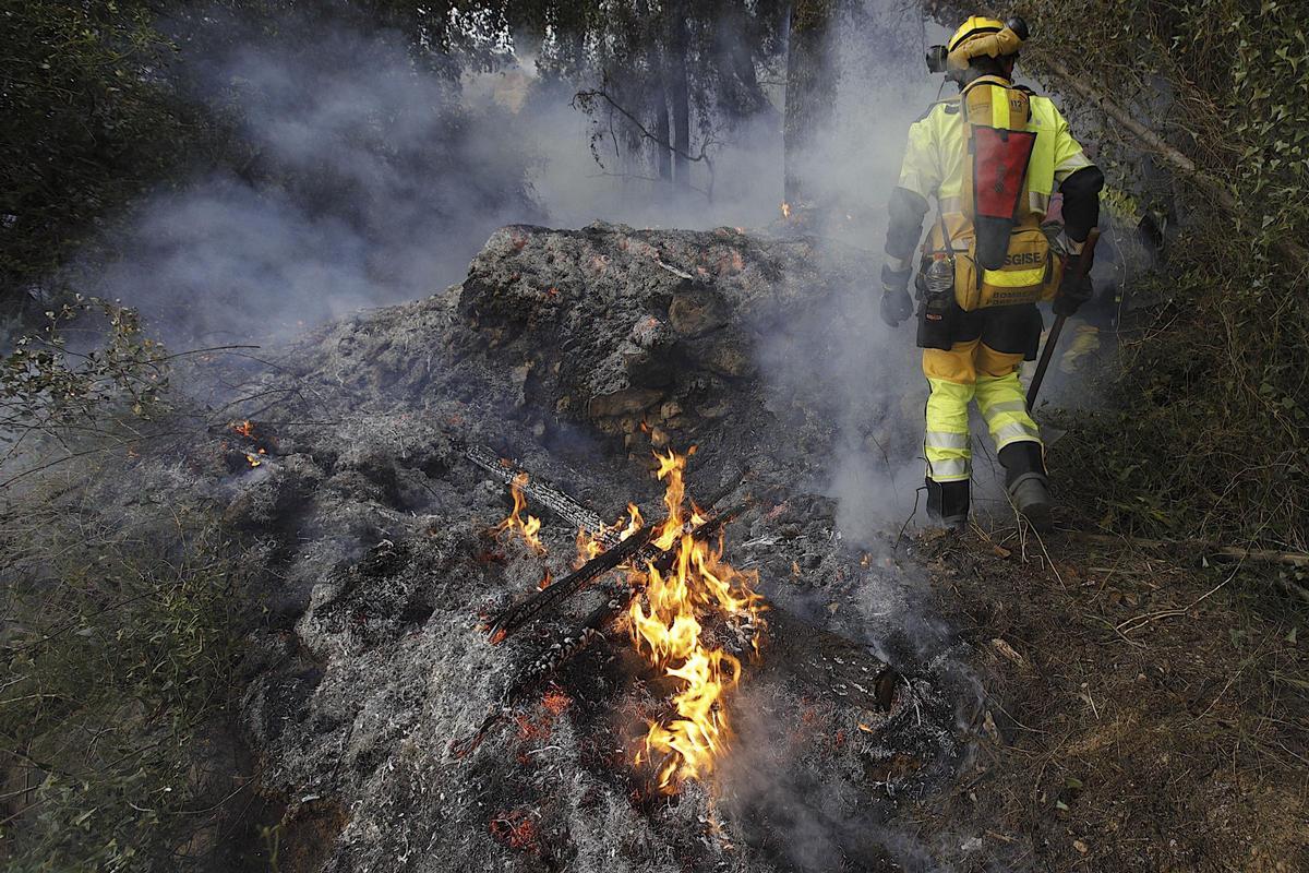 Un agente de las brigadas forestales de la Generalitat trabajando en la extinción del fuego de Montitxelvo.