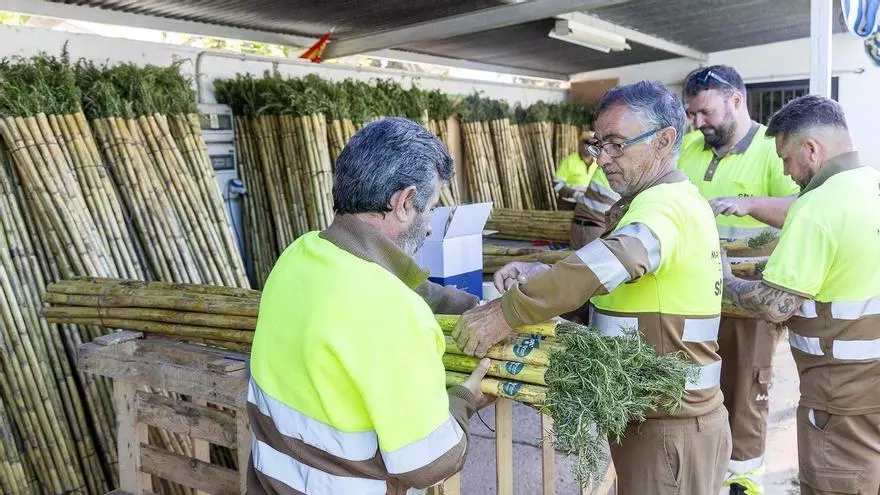 15.000 cañas para la Peregrina