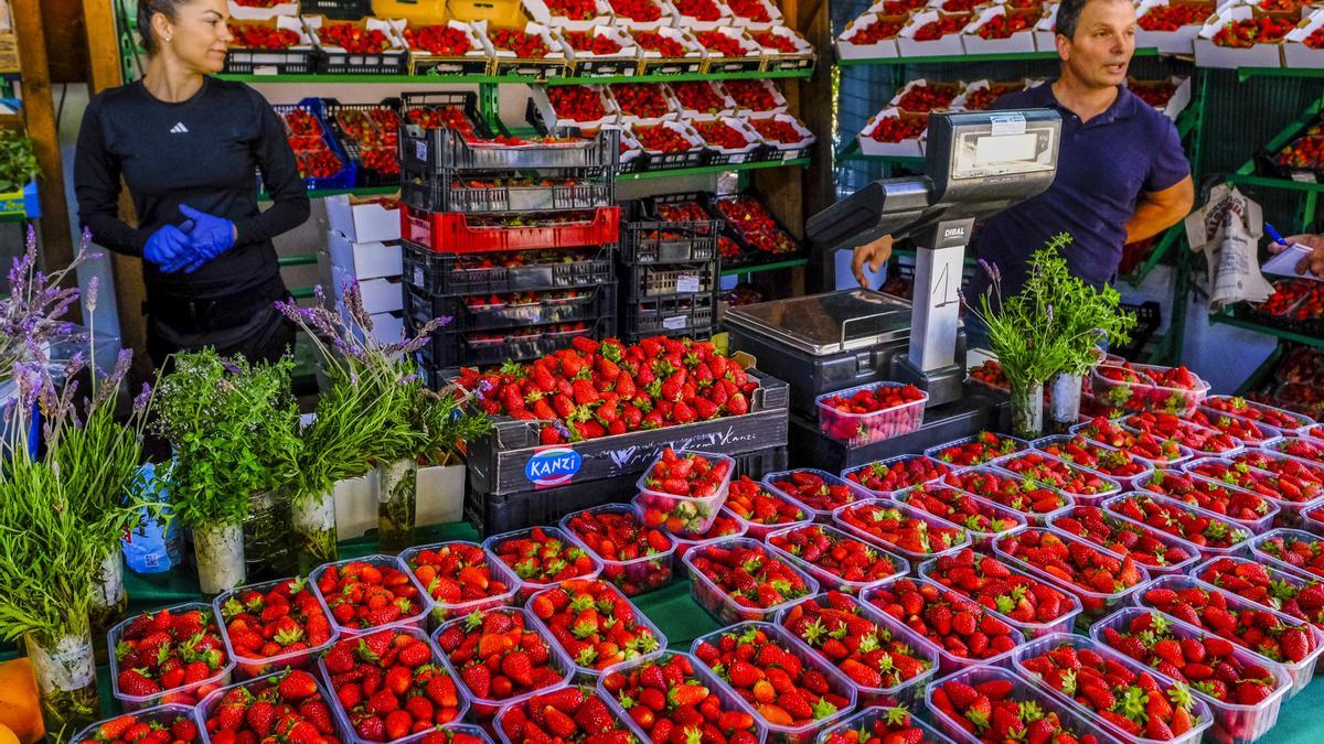 Valsequillo celebrará la Feria de la Fresa 2026 el 24 mayo