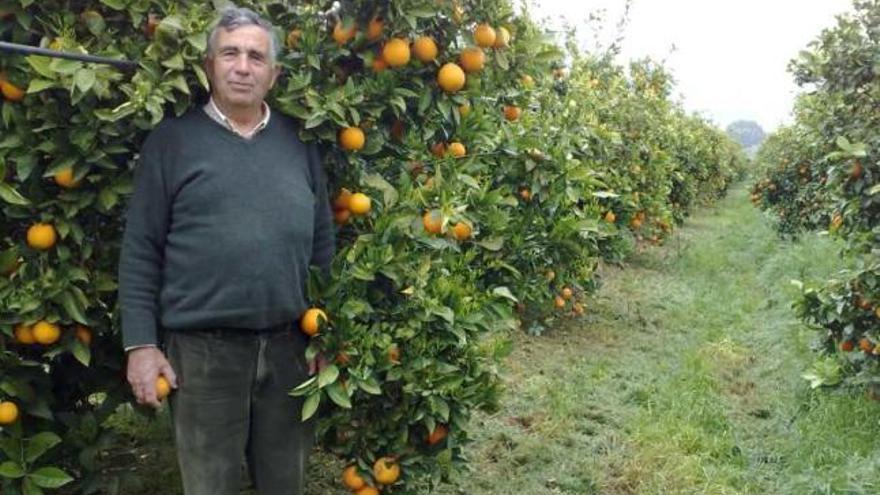 Pérez Postigo lleva toda su vida al frente del negocio.