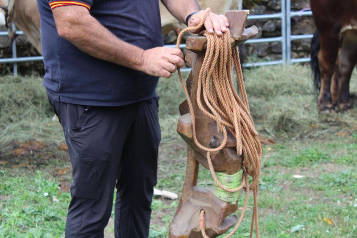 Yugo para el arrastre