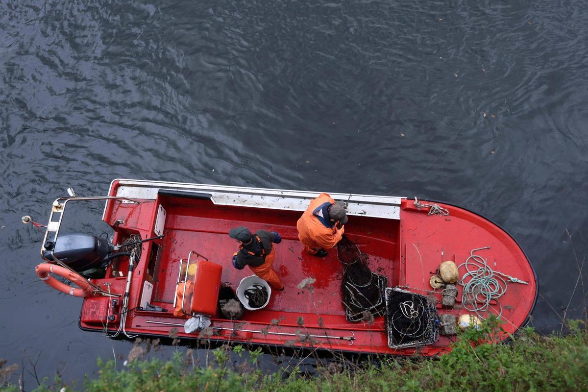 Así se pescan las primeras lampreas de la temporada.