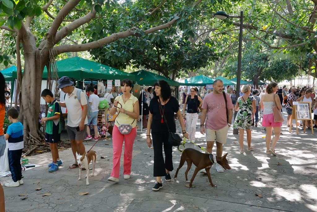 Así ha sido la Feria de los Animales en València