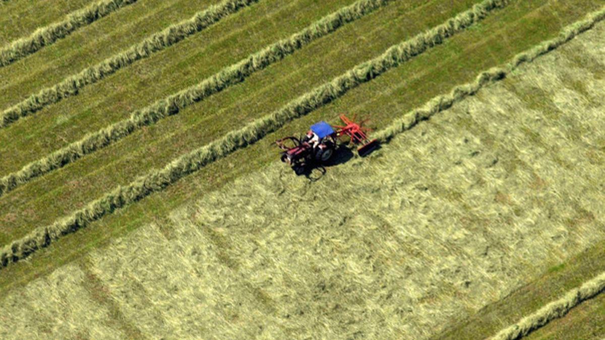 Un tractor recorre un campo de cultivo en Landsberg (Alemania).