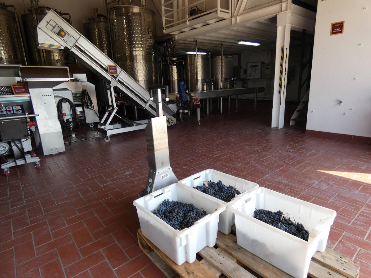 Instalaciones de la bodega Terramoll donde se elabora el vino