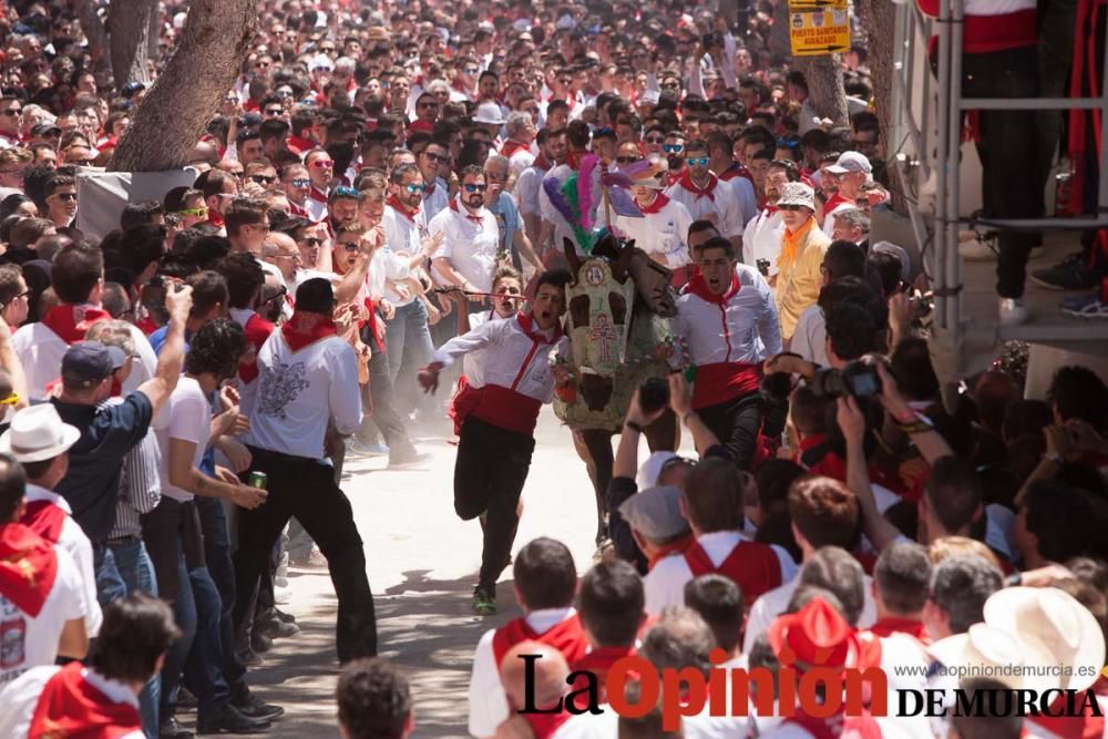 Carrera de los Caballos del Vino