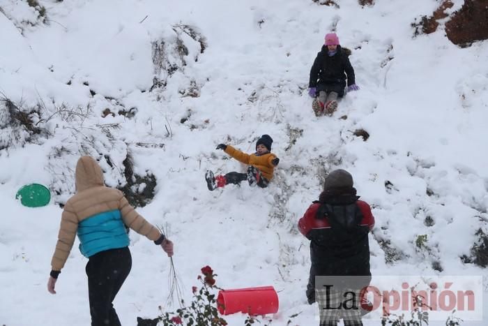 Nieve en Coy y Avilés (Lorca)